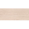 10100001340 Плитка облиц. Eco Wood GT Светло-беж. 60*25 01_ 1 \57,6