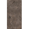 REX HERITAGE LUXE BROWN GLOSS.9MM 60X120 RET