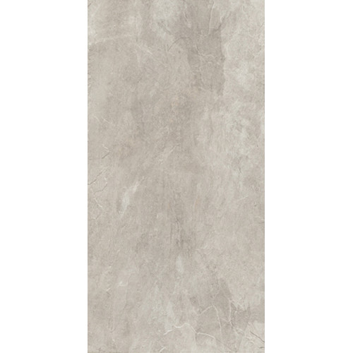 REX ARDOISE GRIS 40x80 RET