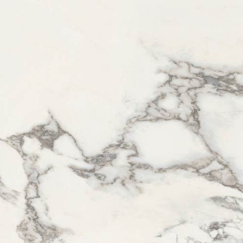 CERAMICHE PIEMME MAJESTIC PURE GLORIOUS ARABESCATO L/R 60x60