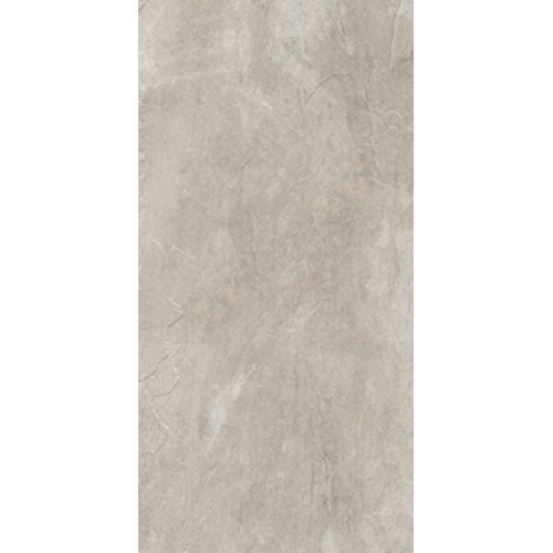 REX ARDOISE GRIS NAT 30,4x60,8 RET