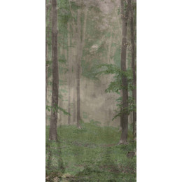 Керамическая плитка W&S D WOODS B 120x240