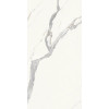 CERAMICHE PIEMME MAJESTIC PURE SUPERB STATUARIO N/R 60x119,5