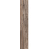 ABK Плитка напольная DOLPHIN OAK RETT. 20X170