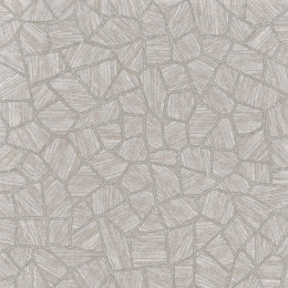 Керамогранит GENT ASH SLIVER RET 120X120