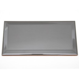 Керамическая плитка Biselado Cemento Brillo 7,5x15 см