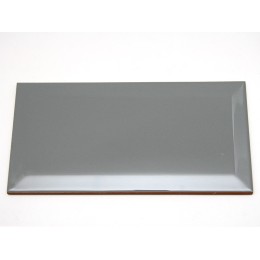 Керамическая плитка Biselado Plata Brillo 10x20 см