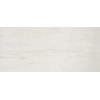 Настенная плитка глазурованная Marvel Stone Bianco Dolomite 50x110