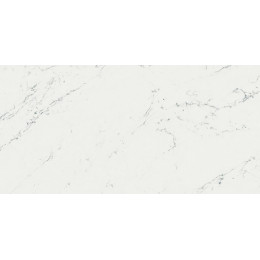 Marvel Stone Carrara Pure 40x80